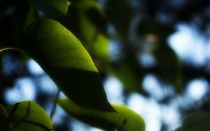 性能优化